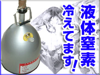 液体窒素 冷えてます！