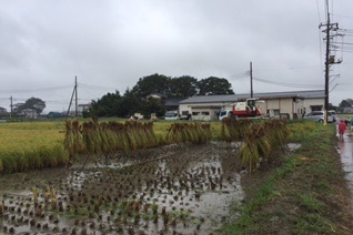 2016.09.23稲刈り祭り６.jpg